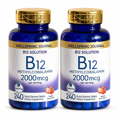 Wellspring Journal B12 Solution