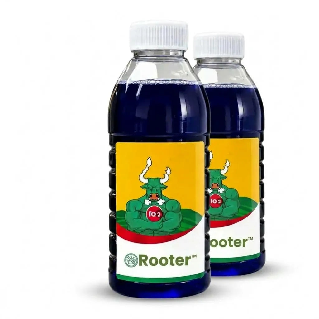 Rooter