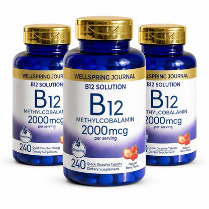 Wellspring Journal B12 Solution