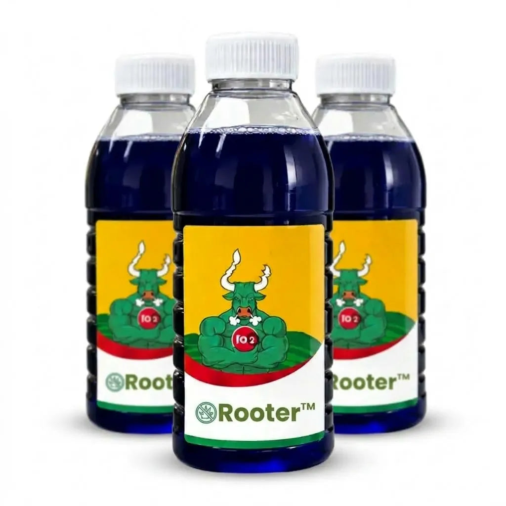 Rooter