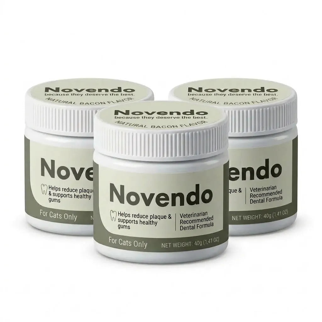 Novendo