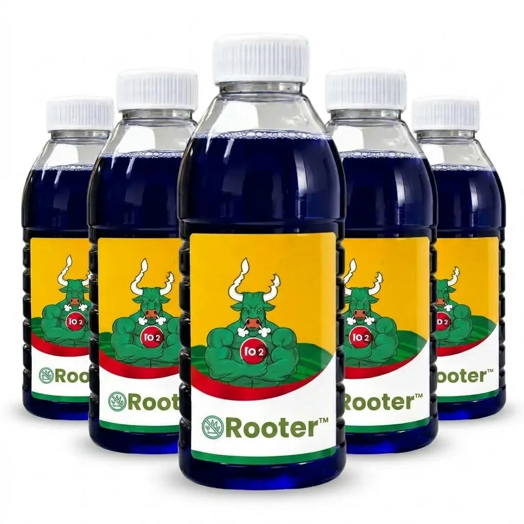 Rooter